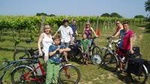 Self-Guided Electric Bike Tour to vineyards and castles in Kent
