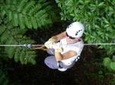 Half-Day Fiji Zip-line Tour from Nadi