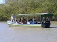 Palo Verde National Park and Coffee Tour
