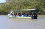 Palo Verde National Park and Coffee Tour