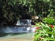 Private Customizable Waterfalls, Crocodiles, Rum Tasting, or Pelican Bar Tour