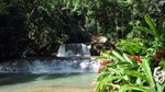 Private Customizable Waterfalls, Crocodiles, Rum Tasting, or Pelican Bar Tour
