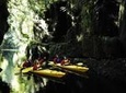 Scenic Lake McLaren Kayak Tour
