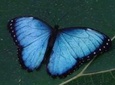 Flora and Fauna Garden at Danaus Eco-Center