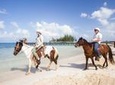 Monkeys and sloth hangout plust Horseback Riding and Beach Break