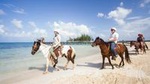 Monkeys and sloth hangout plust Horseback Riding and Beach Break