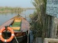 The Albufera Natural Park Private Tour from Valencia with transport