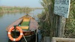 The Albufera Natural Park Private Tour from Valencia with transport