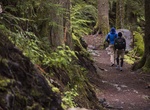 Camp at Cougar Rock Campground, Mount Rainier National Park, Washington