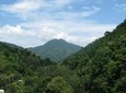 Blue Mountain Bicycle Tour from Runaway Bay