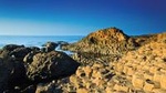 Guided Day Tour: Giant's Causeway from Belfast