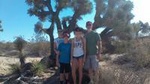 Joshua Tree National Park Driving Tour