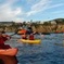 Laguna Beach Kayak Tour with Sea Lion Viewing