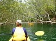 Half-Day Sydney Middle Harbour Guided Kayaking Eco Tour 