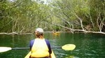 Half-Day Sydney Middle Harbour Guided Kayaking Eco Tour 