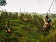 Zipline Tour On Oahu's North Shore