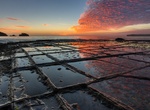 See Tessellated Pavement at Eaglehawk Neck, Tasmania