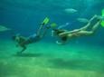 Beach Hopper Snorkeling Tour in Los Cabos