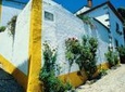 Óbidos historic village and Mafra Palace Private Tour