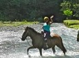 Horseback River Tour in Jaco