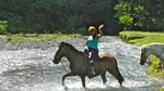 Horseback River Tour in Jaco