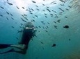 Diving at Koh Chang, daytrip with 2 dives