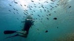 Diving at Koh Chang, daytrip with 2 dives