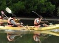Mangrove Kayaking Tour from Langkawi