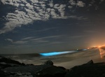 See Bioluminescence in the Water