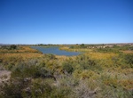 Visit Cibola National Wildlife Refuge, Arizona & California