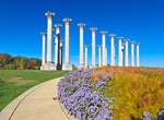 Visit United States National Arboretum, Washington, D.C.