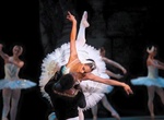 See  Misty Copeland Perform