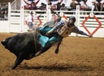 Attend Fort Worth Stock Show & Rodeo, Texas