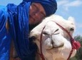 Camel Ride on the Beach of Essaouria