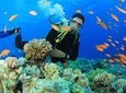 Beginners Scuba Diving Experience in Gran Canaria