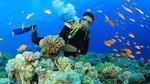 Beginners Scuba Diving Experience in Gran Canaria