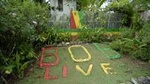 Day Trip to Bob Marley's Nine Mile and Dunn's River Falls from Falmouth