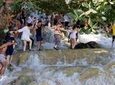 Dunn's River Falls and Fern Gully Highlight Adventure Tour from Runaway Bay