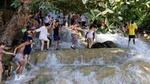 Dunn's River Falls and Fern Gully Highlight Adventure Tour from Runaway Bay