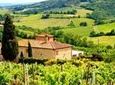 Florence to Greve in Chianti Tour with Wine Tasting Experience