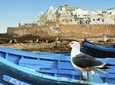 Full-Day Excursion to Essaouira from Marrakech
