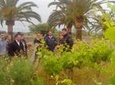 Mallorca Half Day Private Wine Tour with Wine Tasting