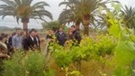 Mallorca Half Day Private Wine Tour with Wine Tasting