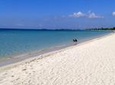 Negril Day Trip to Seven Mile Beach and Rick's Cafe from Montego Bay Hotels