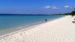 Negril Day Trip to Seven Mile Beach and Rick's Cafe from Montego Bay Hotels