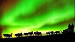 Northern Lights Viewing including Dinner and 1-Hour Dog Sledding