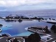 Skywalk, Porto Moniz Volcanic Pools and more...Full day Tour in Open Roof 4x4