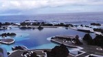Skywalk, Porto Moniz Volcanic Pools and more...Full day Tour in Open Roof 4x4