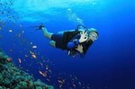 PADI Open Water Course in Gran Canaria