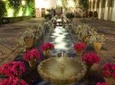 Patios tour in Cordoba